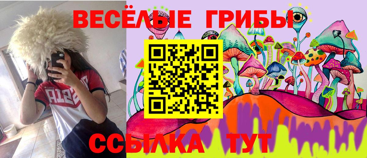 Сергиев Посад  Псилоцибиновые грибы MAGIC MUSHROOMS  Вход с VPN 
